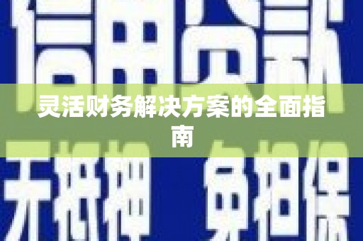 旺苍灵活财务解决方案的全面指南