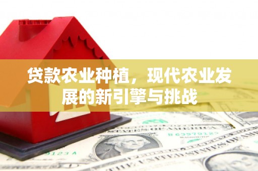 旺苍贷款农业种植，现代农业发展的新引擎与挑战