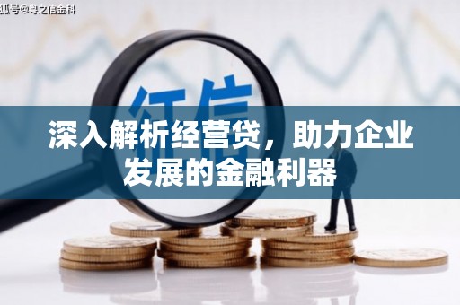 旺苍深入解析经营贷，助力企业发展的金融利器