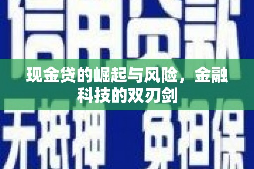 旺苍现金贷的崛起与风险，金融科技的双刃剑