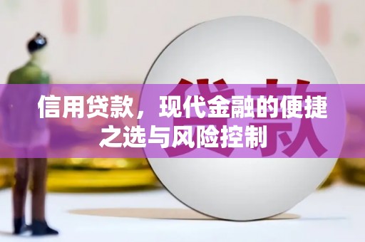 旺苍信用贷款，现代金融的便捷之选与风险控制