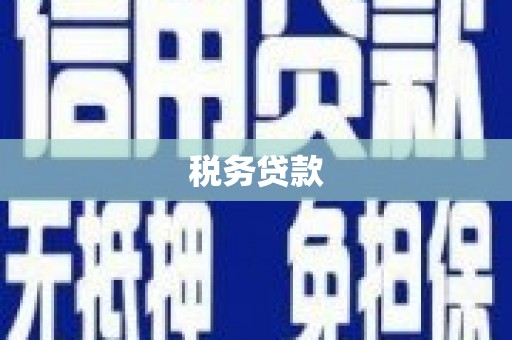 旺苍税务贷款