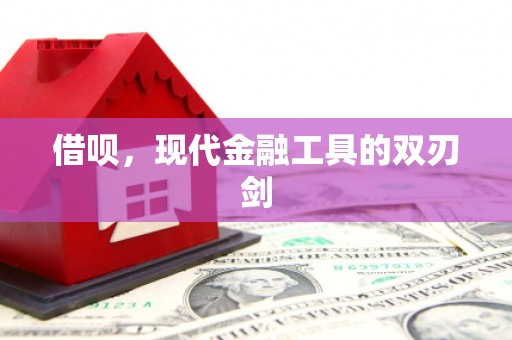 旺苍借呗，现代金融工具的双刃剑