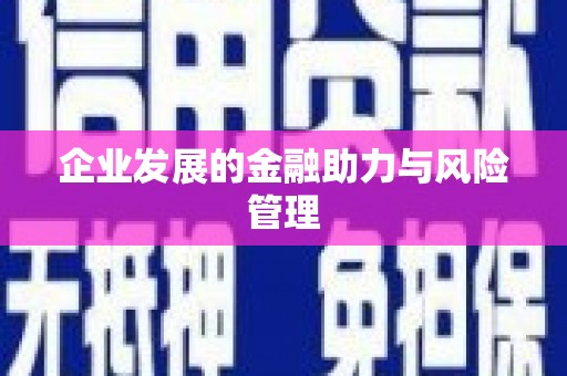 旺苍企业发展的金融助力与风险管理