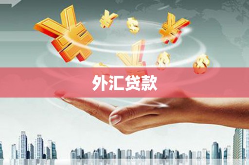 旺苍外汇贷款