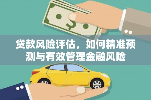 旺苍贷款风险评估，如何精准预测与有效管理金融风险