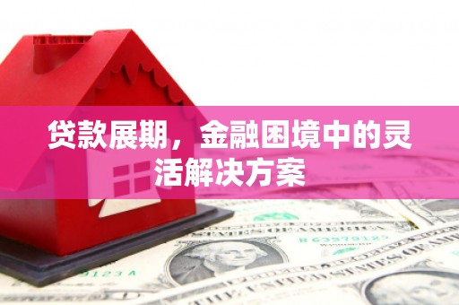 旺苍贷款展期，金融困境中的灵活解决方案