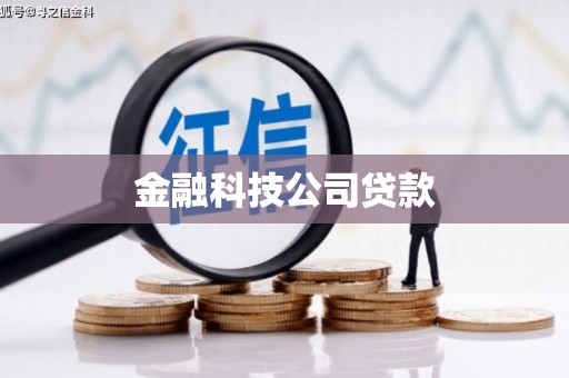 旺苍金融科技公司贷款