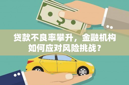 旺苍贷款不良率攀升，金融机构如何应对风险挑战？
