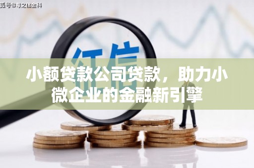 旺苍小额贷款公司贷款，助力小微企业的金融新引擎