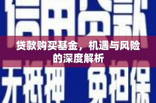 旺苍贷款购买基金，机遇与风险的深度解析