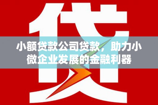 旺苍小额贷款公司贷款，助力小微企业发展的金融利器