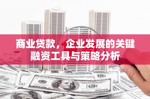 旺苍商业贷款，企业发展的关键融资工具与策略分析