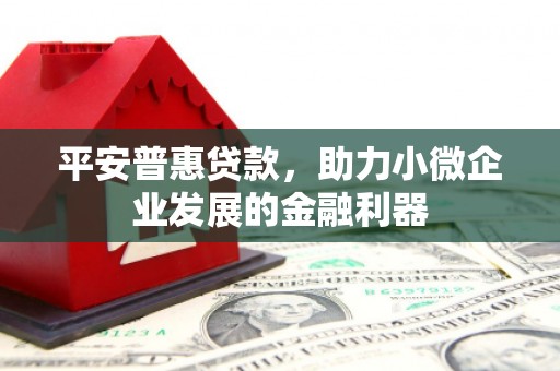 旺苍平安普惠贷款，助力小微企业发展的金融利器
