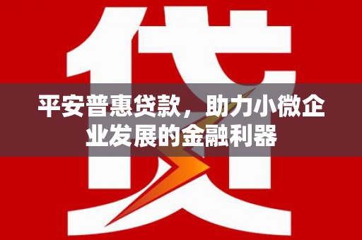 旺苍平安普惠贷款，助力小微企业发展的金融利器