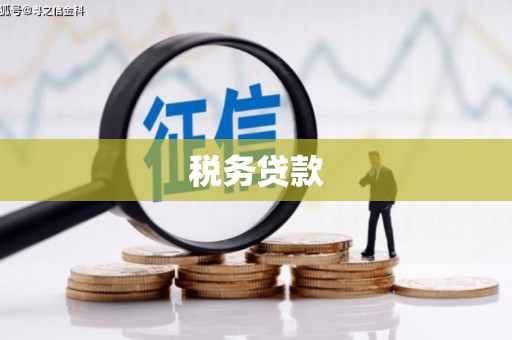 旺苍税务贷款