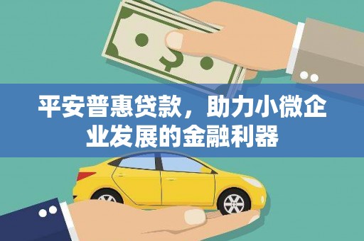 旺苍平安普惠贷款，助力小微企业发展的金融利器