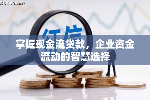 旺苍掌握现金流贷款，企业资金流动的智慧选择