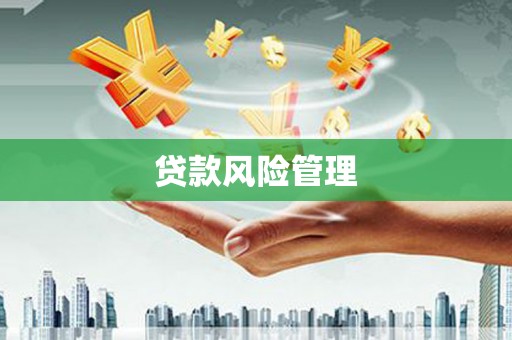 旺苍贷款风险管理