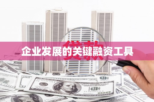 旺苍企业发展的关键融资工具