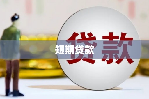 旺苍短期贷款