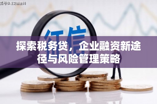 旺苍探索税务贷，企业融资新途径与风险管理策略