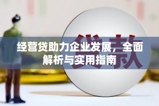 旺苍经营贷助力企业发展，全面解析与实用指南
