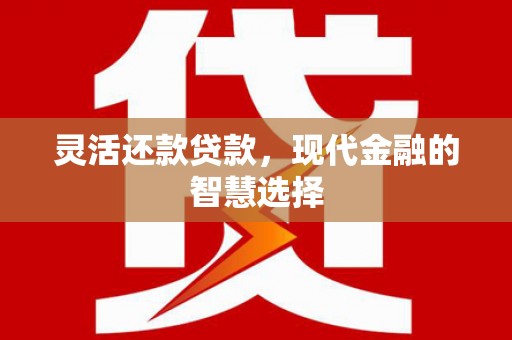 旺苍灵活还款贷款，现代金融的智慧选择