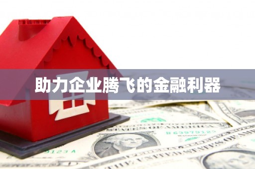 旺苍助力企业腾飞的金融利器