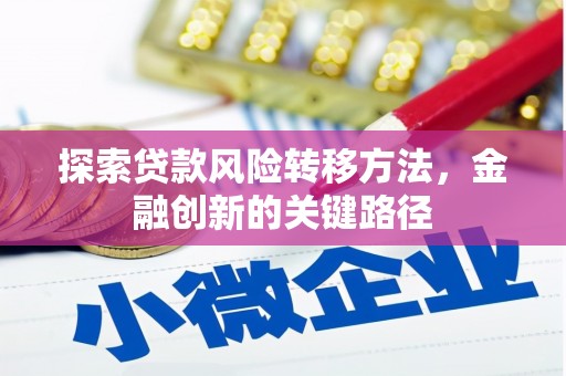 旺苍探索贷款风险转移方法，金融创新的关键路径