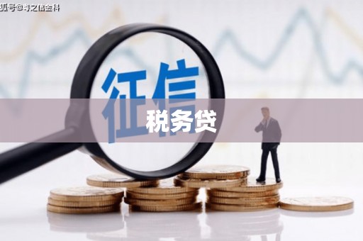 旺苍税务贷