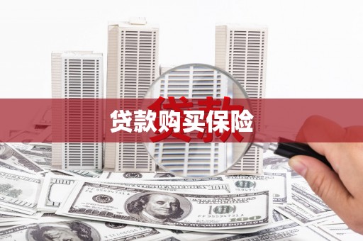旺苍贷款购买保险