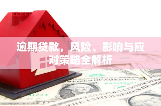 旺苍逾期贷款，风险、影响与应对策略全解析