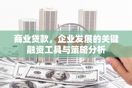 旺苍商业贷款，企业发展的关键融资工具与策略分析