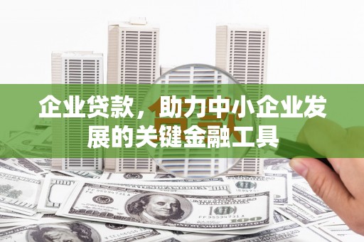 旺苍企业贷款，助力中小企业发展的关键金融工具
