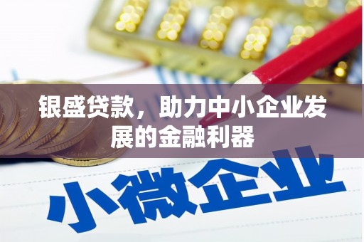 旺苍银盛贷款，助力中小企业发展的金融利器