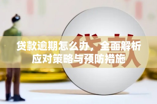 旺苍贷款逾期怎么办，全面解析应对策略与预防措施