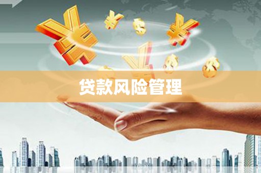 旺苍贷款风险管理