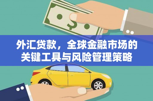 旺苍外汇贷款，全球金融市场的关键工具与风险管理策略