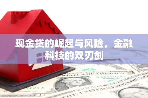 旺苍现金贷的崛起与风险，金融科技的双刃剑