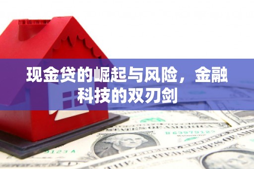 旺苍现金贷的崛起与风险，金融科技的双刃剑