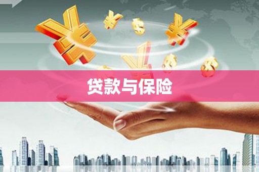 旺苍贷款与保险