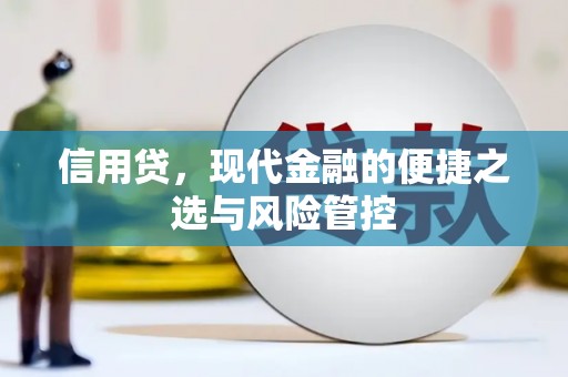 旺苍信用贷，现代金融的便捷之选与风险管控