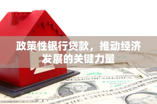 旺苍政策性银行贷款，推动经济发展的关键力量
