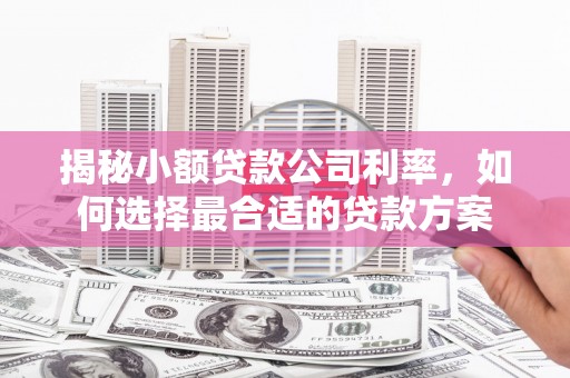 旺苍揭秘小额贷款公司利率，如何选择最合适的贷款方案