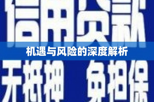 旺苍机遇与风险的深度解析