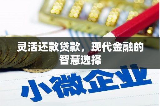 旺苍灵活还款贷款，现代金融的智慧选择