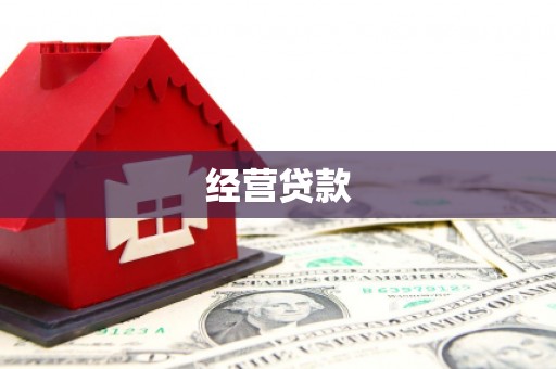 旺苍经营贷款