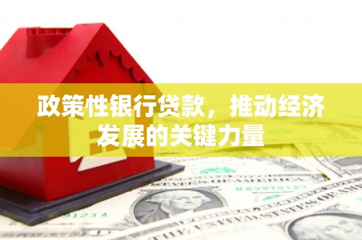 旺苍政策性银行贷款，推动经济发展的关键力量