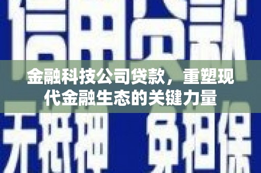 旺苍金融科技公司贷款，重塑现代金融生态的关键力量